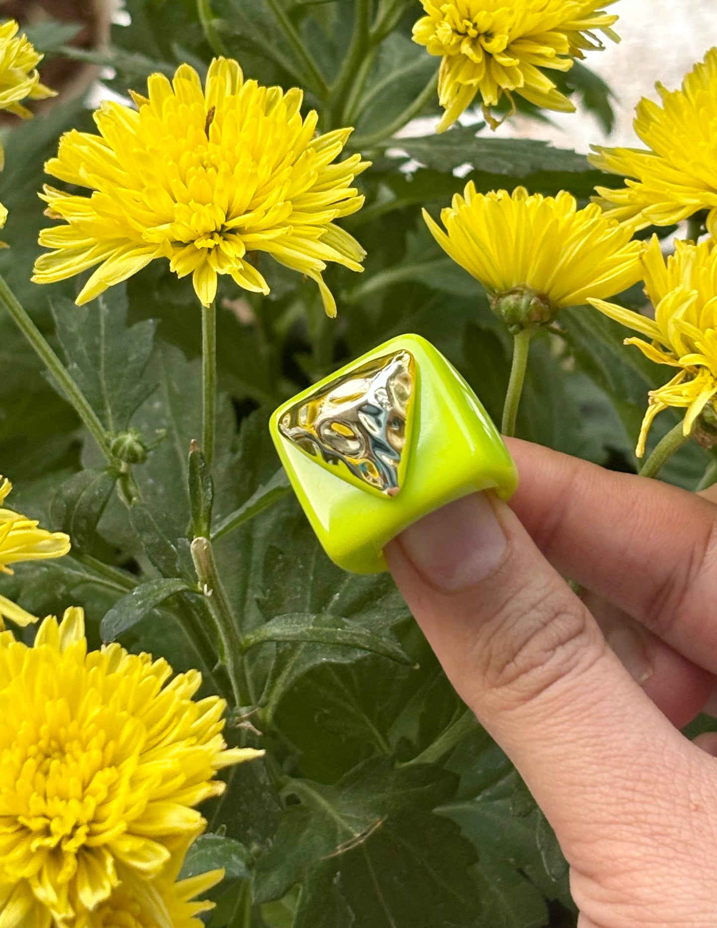 Poppy Chunky Rings